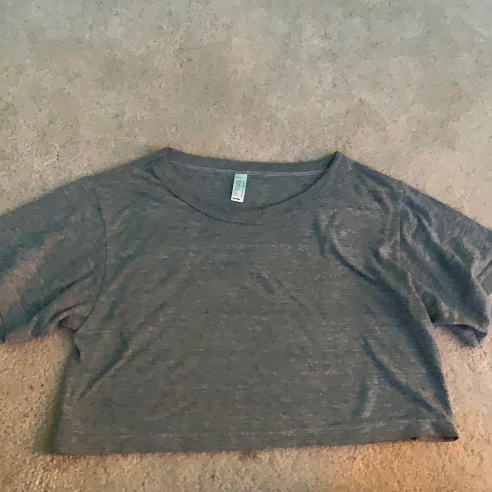 grey american apparel crop